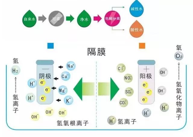 電(diàn)解水(shuǐ)機(jī)工(gōng)作原理 電(diàn)解水(shuǐ)機(jī)工(gōng)作原理