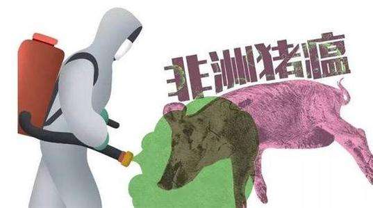非洲豬瘟 非洲豬瘟